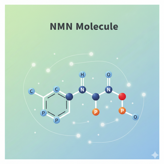 NMN molecular structure related to NAD+ production and cellular health