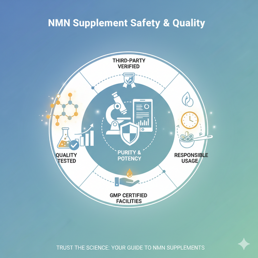 Scientific illustration representing NMN safety, quality testing, and supplement manufacturing standards